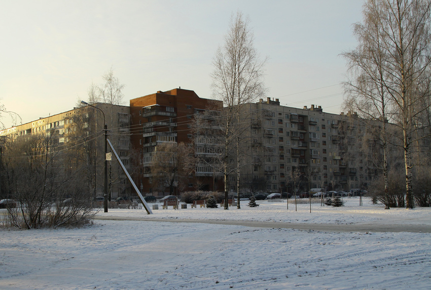 Улица Раумская