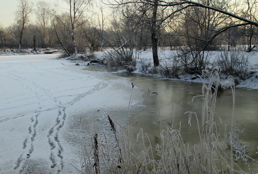 Река Чухонка