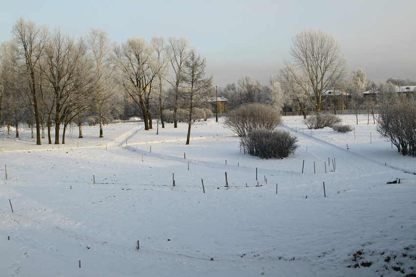 Парк в Колпино