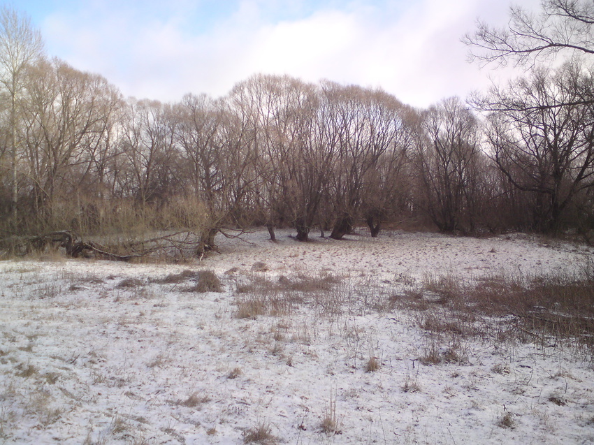 Брошенный сад