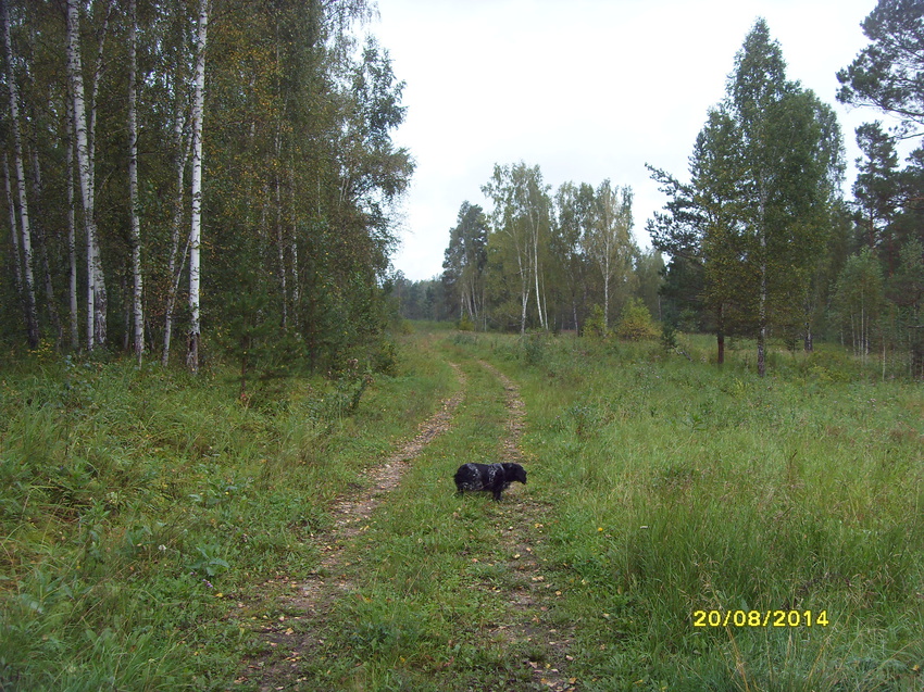 По дороге в 3 летний лагерь