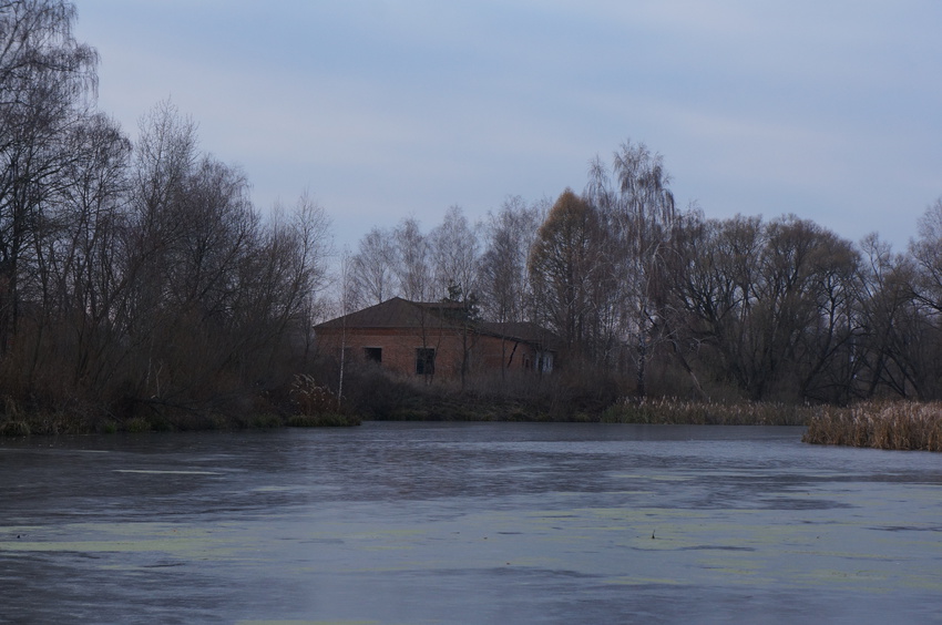 Пруды в Хонятино