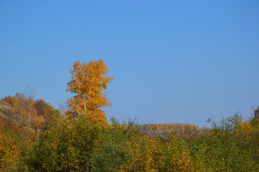 Серафимовский осень.