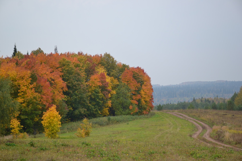 Янаул фото природы