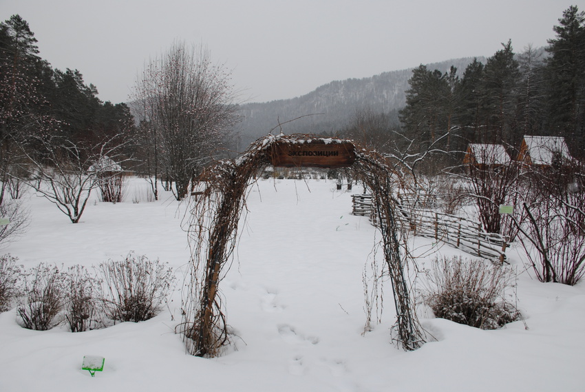 Ботанический сад зимой.