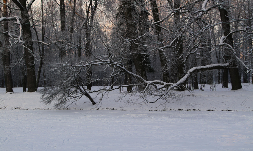 Александровский парк