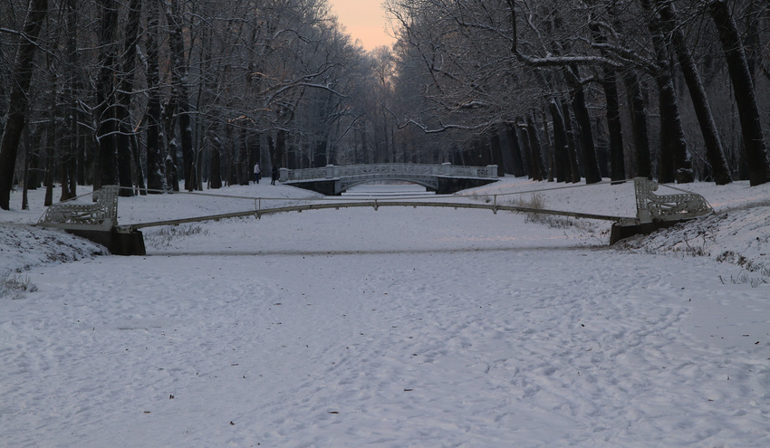 Мосты в парке