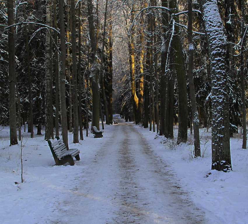 Павловский парк