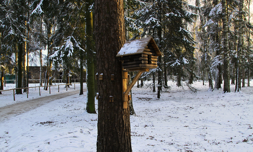 Павловский парк