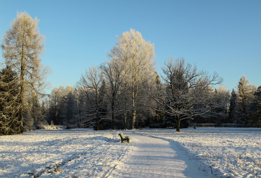 Павловский парк