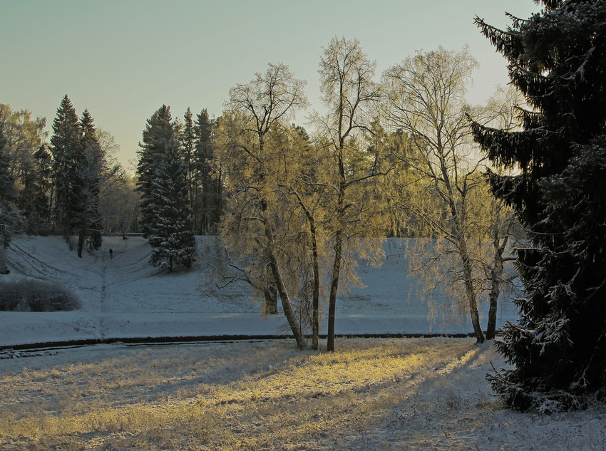 Павловский парк