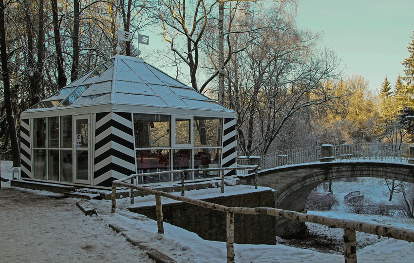В Павловском парке
