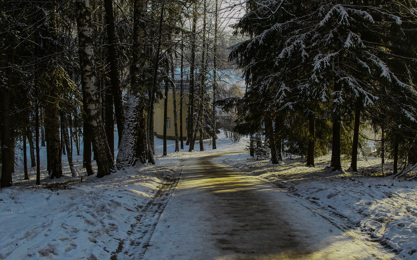 Дорожка в парке