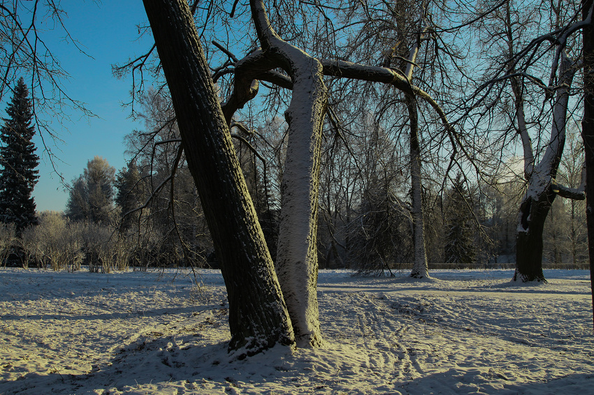 Павловский парк
