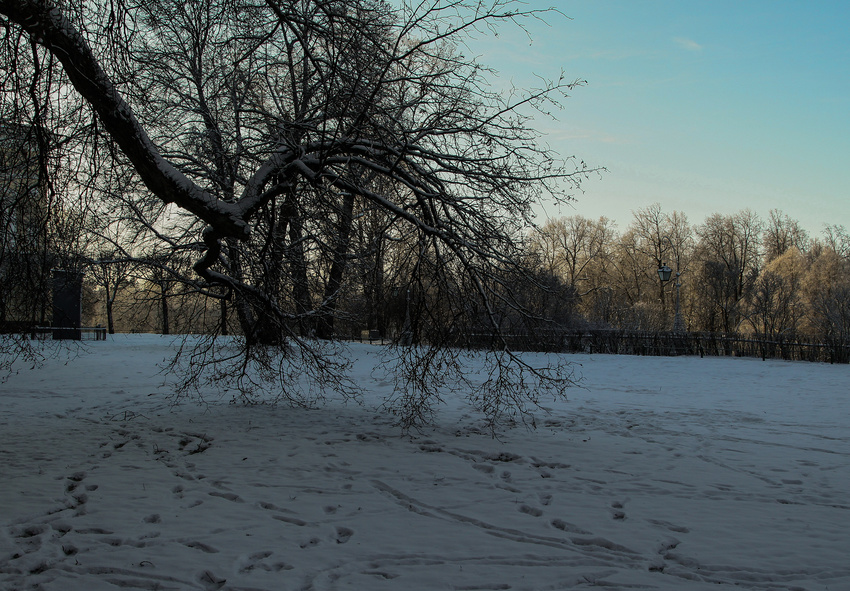 Павловский парк