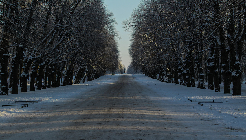 Главная липовая аллея парка