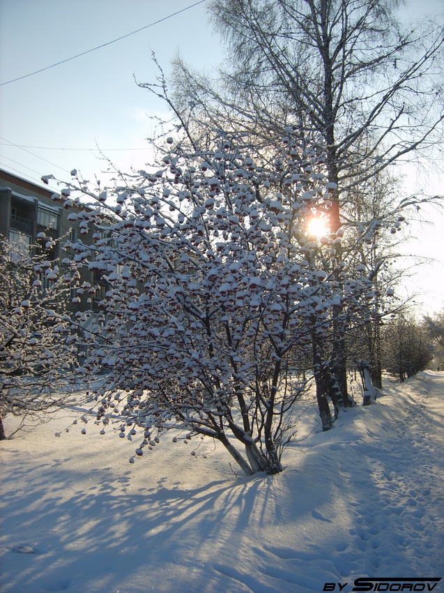 Ленинск-Кузнецкий зимой