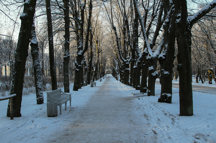 Аллея в парке