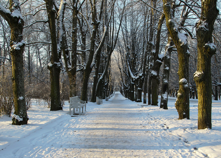 Аллея в парке