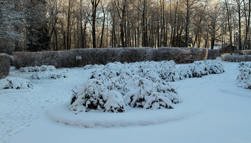 Павловский парк