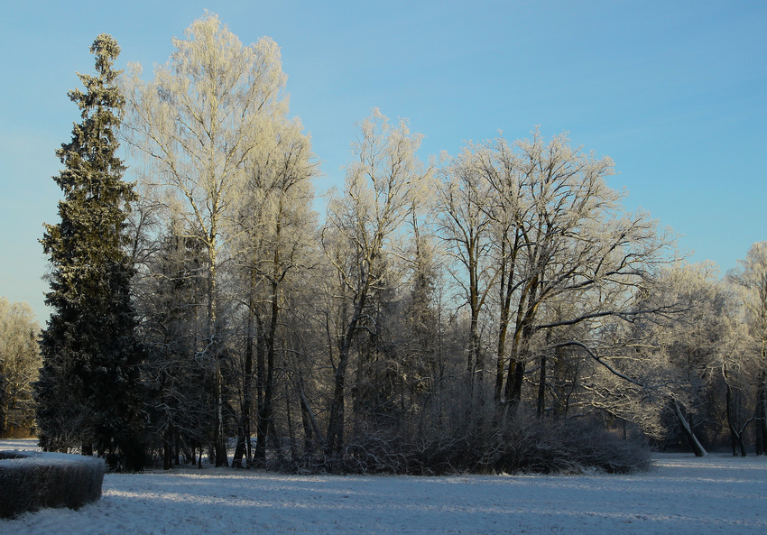 Павловский парк
