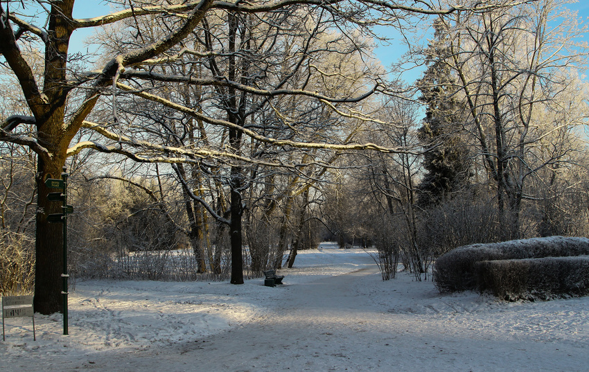 Павловский парк