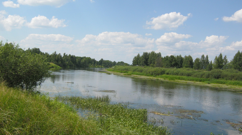река Ипуть