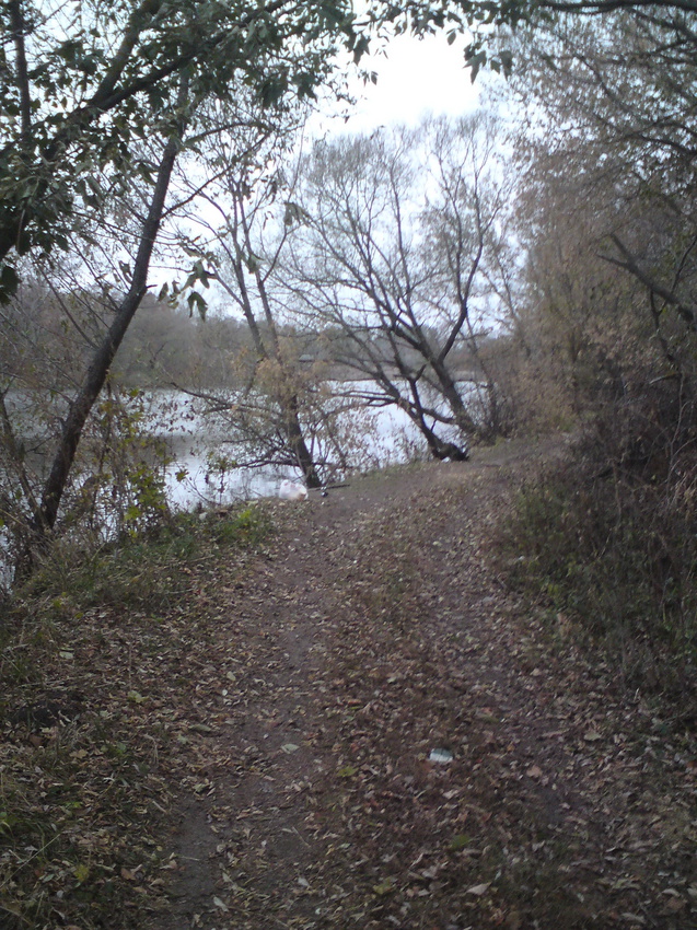 Обрывистая дорога