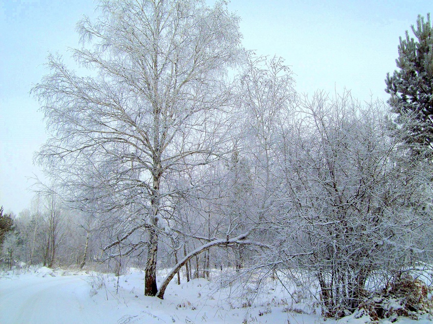 Зима в окрестностях Шелехова