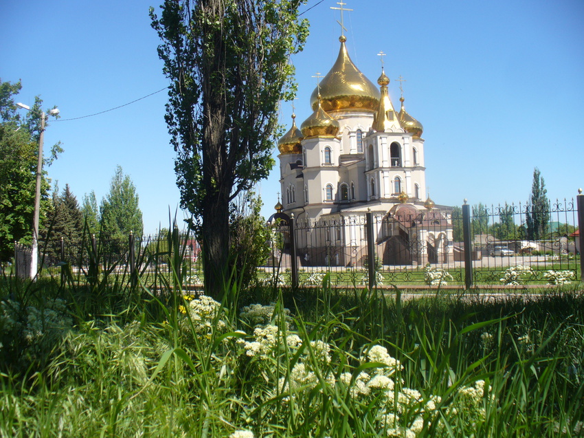 Храм Святого апостола Андрея Первозванного в г.Ждановка