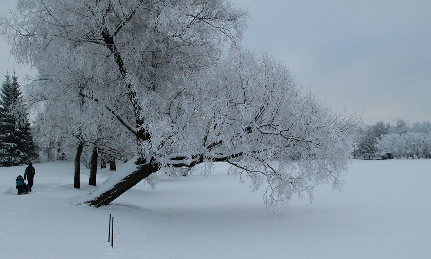 Екатерининский парк