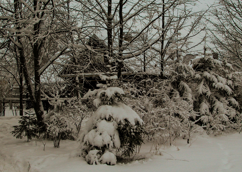 Партизанский переулок