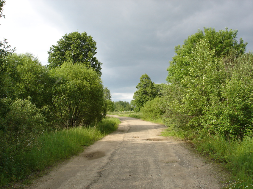 Дорога на Малиновку