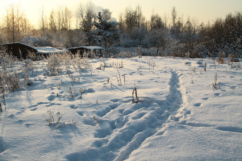 Садовые участки на окраине Славянки
