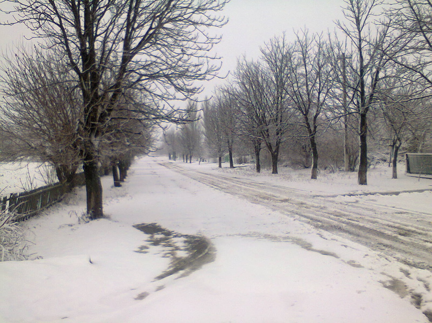 село Зелене Поле