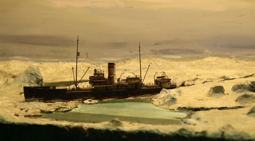 Экспонат в музее Арктики и Антарктики
