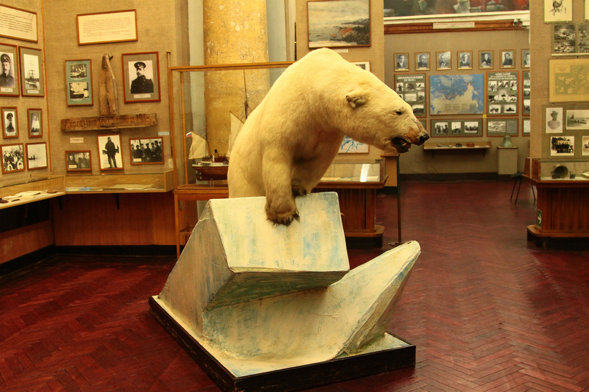 В музее Арктики и Антарктики