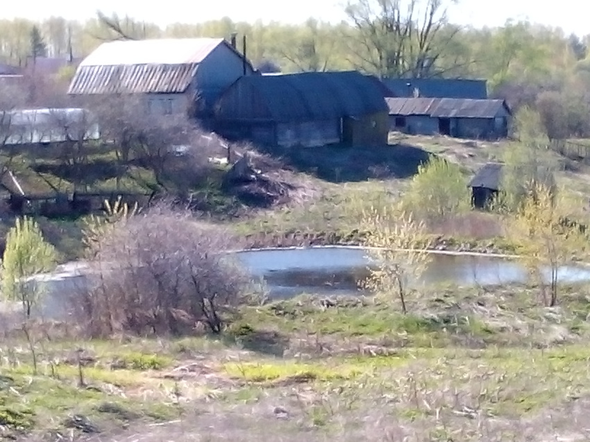 Кержемок. &quot;Козловский&quot; пруд