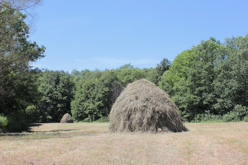 &quot;Стог&quot;