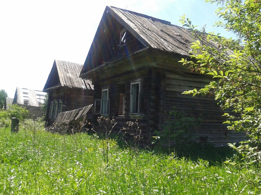 Где Купить Цветы Пгт Санчурск Кировская Область