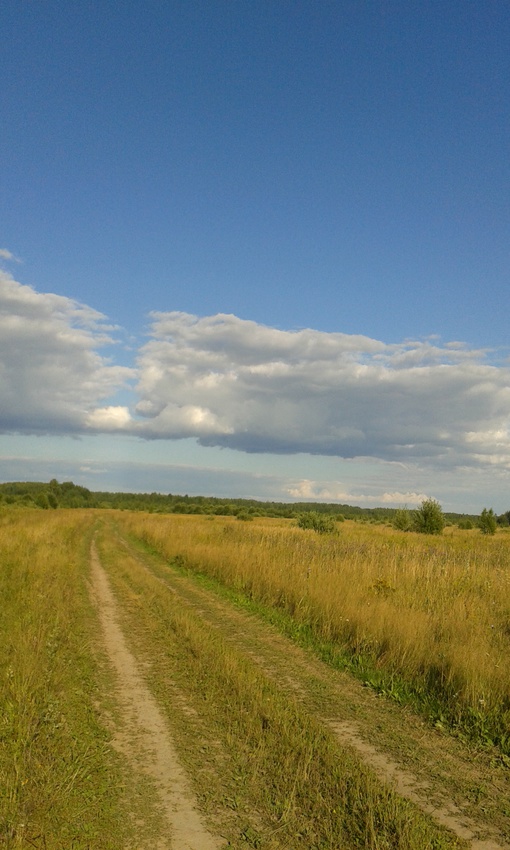 Дорога на д.Бородинские  от  Шишелова