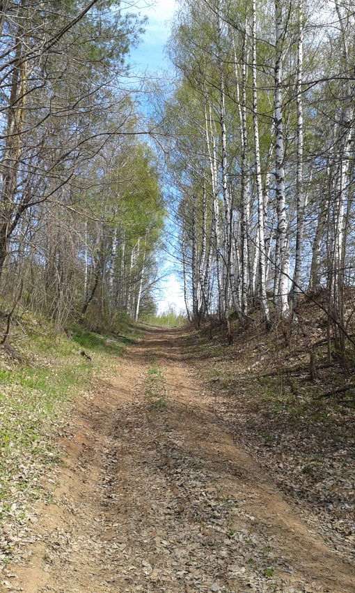 Дорога в гору по старинному тракту