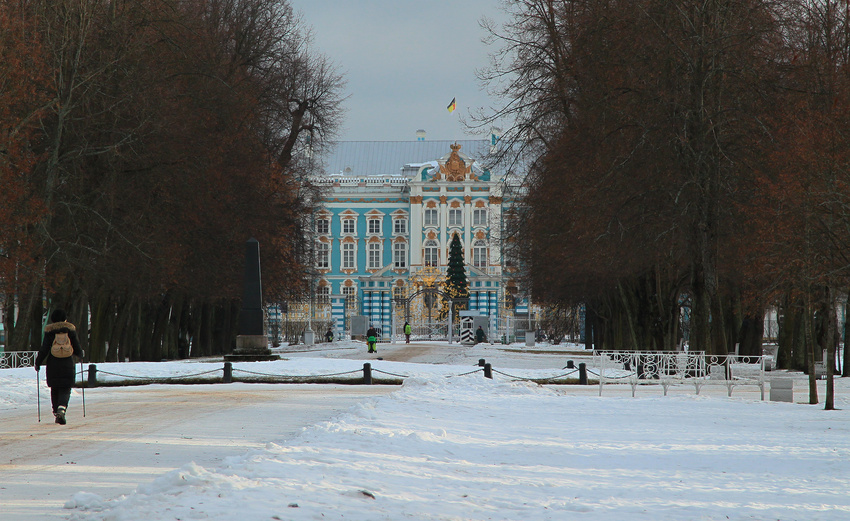 Вид из Александровского парка