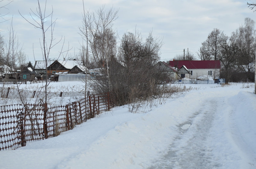 Дорога к школе № 5 с улицы Павлова