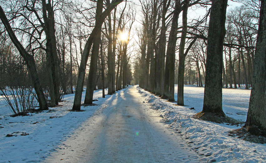 Александровский парк