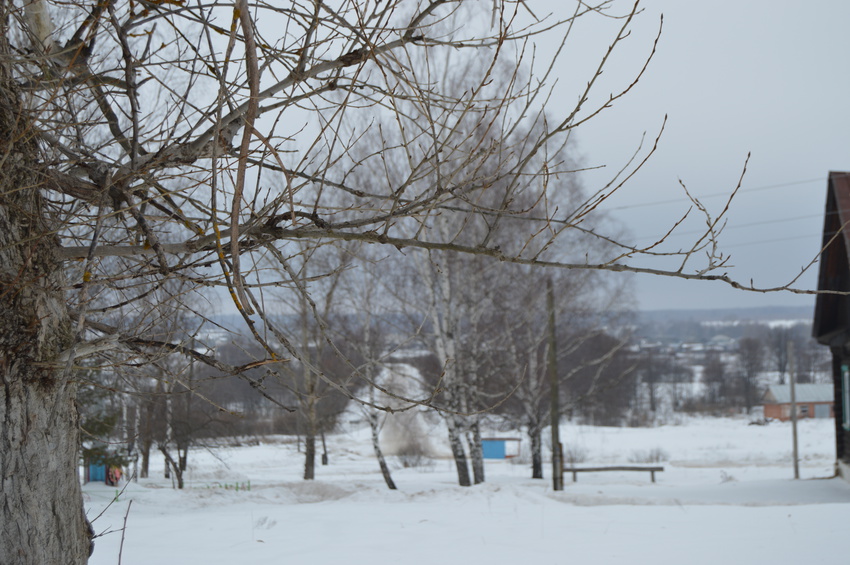 Зима в Курихе .