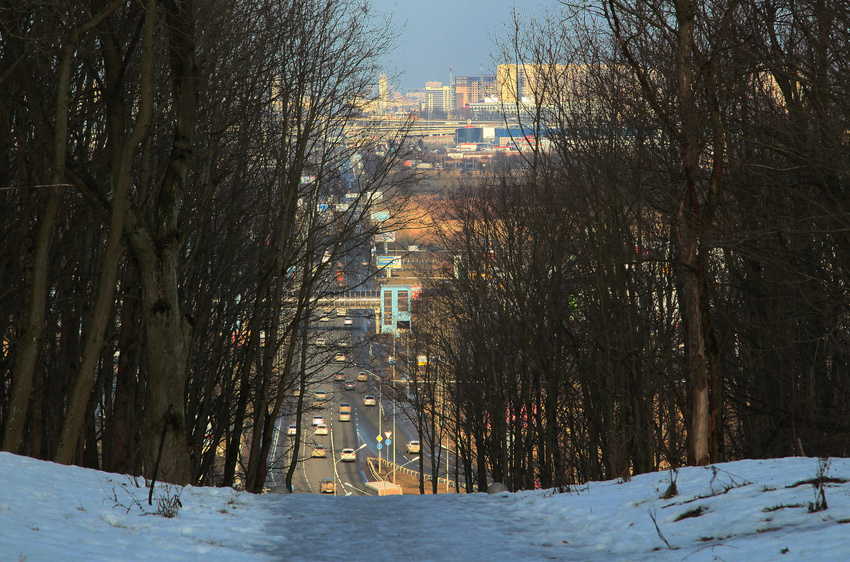Вид с Пулковских высот