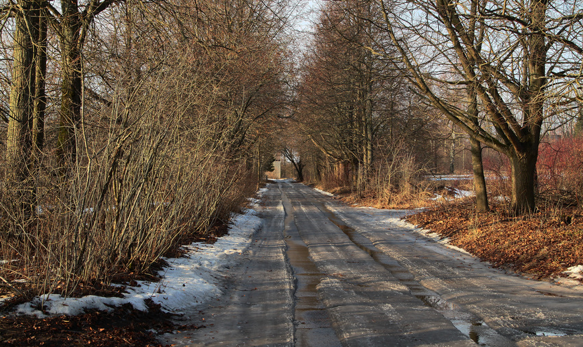 На Пулковских высотах