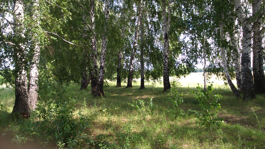 Природа родного края