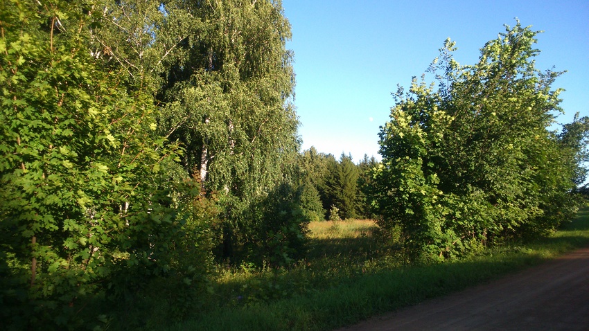 Природа родного края